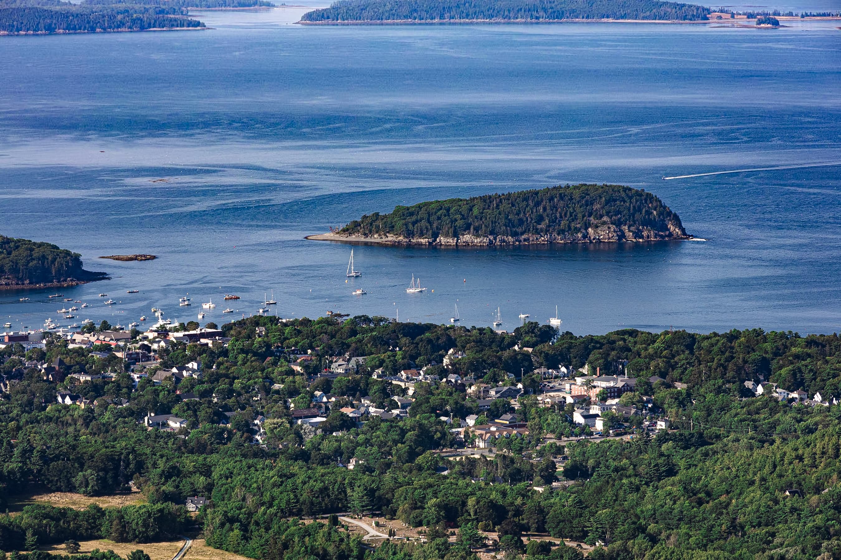 Harbour town and forested island seen from a mountain summit